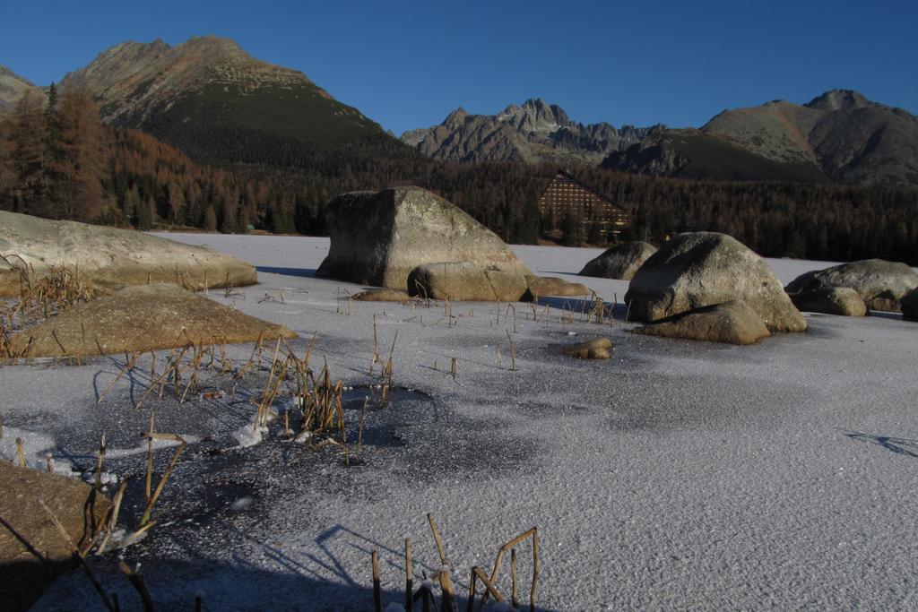 Apartman Strbske Pleso - Crocus 219 Экстерьер фото